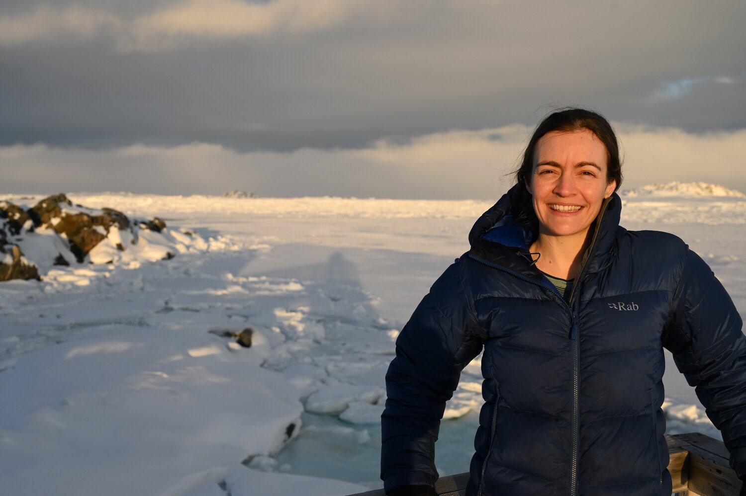 Krill: An overlooked yet most important Antarctic animal 