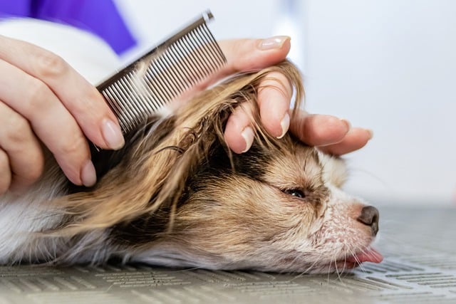 Oh, those matted hair!