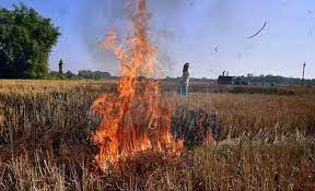 Stubble burning is proving too challenging