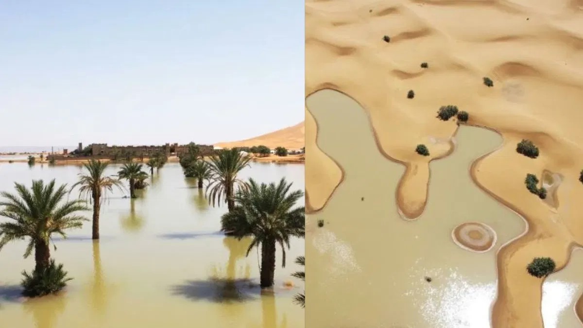 Sahara Desert gets flooded first time in 50 yrs 