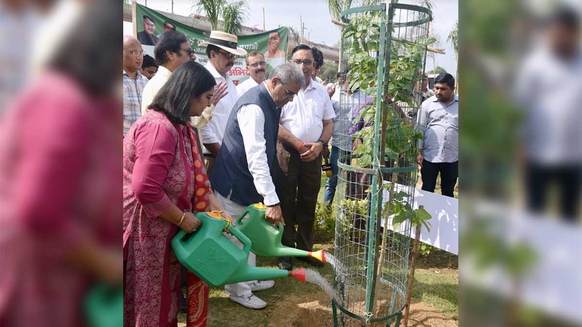 ‘‘सौमित्र वन’’ में पेड़ बचाओ अभियान त्रैमास का शुभारंभ